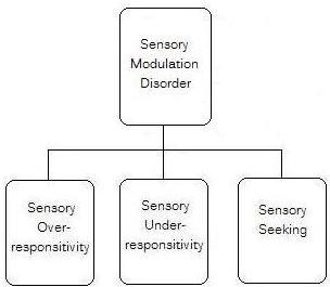 sensory modulation disorder diagram explaining different subtypes